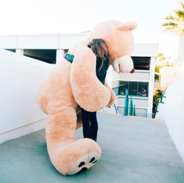 Teddybeer knuffel