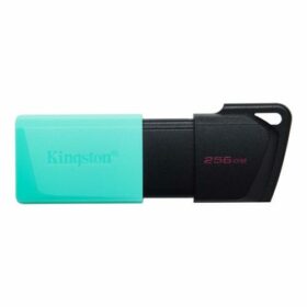 Kingston Technology DataTraveler Exodia M USB flash drive 256 GB USB Type-A 3.2 Gen 1 (3.1 Gen 1) Zwart