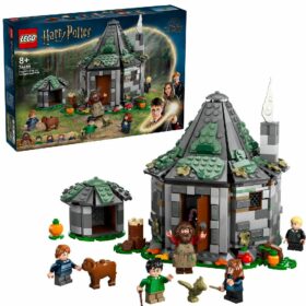 Lego Harry Potter 76428 Hagrid Hut Unexpect Visit