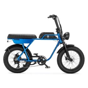 AGM GT250 - Fatbike